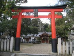 th_IMG_0021.jpg
