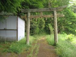 th_IMG_0023.jpg