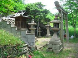 th_IMG_0006.jpg