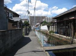th_IMG_0012.jpg