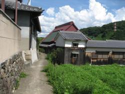 th_IMG_0041.jpg