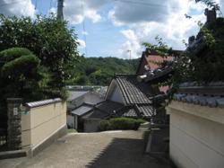 th_IMG_0044.jpg