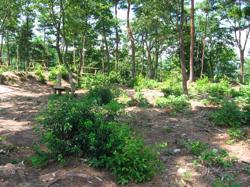 th_IMG_0048.jpg