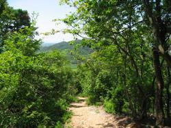 th_IMG_0055.jpg