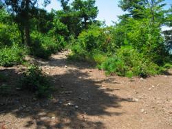 th_IMG_0059.jpg