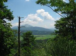 th_IMG_0064.jpg