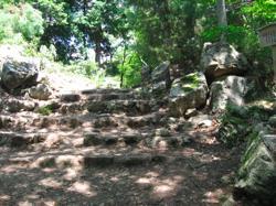 th_IMG_0083.jpg