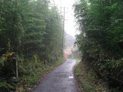 th_IMG_0087.jpg