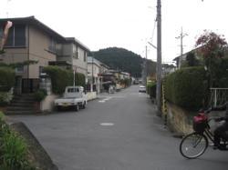 th_IMG_0098.jpg