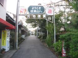 th_IMG_2050.jpg