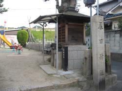 th_IMG_2083.jpg