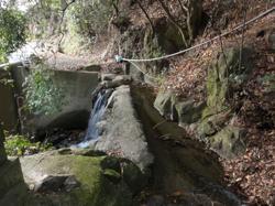 th_SN20120109_0052.jpg